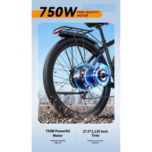 Velo electrique DUOTTS C29M 750 W 48 V 15 Ah 27,5 pouces