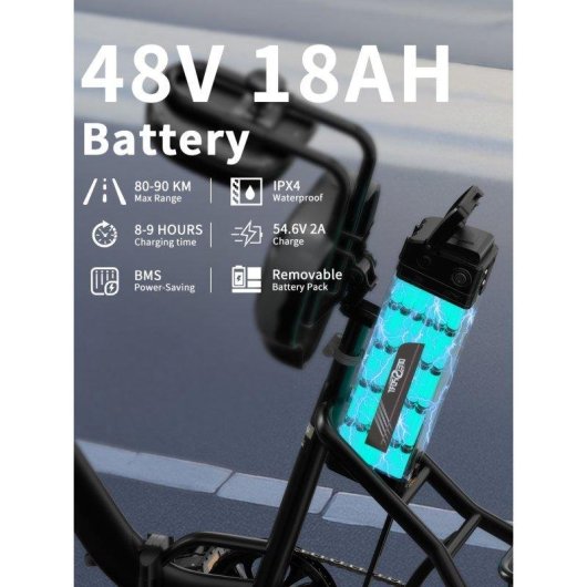 Tricycle électrique OneSport OT30 Pro moteur 500W batterie double 48V 18Ah