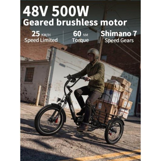 Tricycle électrique OneSport OT30 Pro moteur 500W batterie double 48V 18Ah
