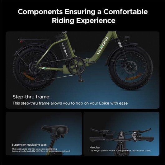 Vélo électrique pliant HillMilES Dolphin 20 pouces 36 V 13 Ah 250 W