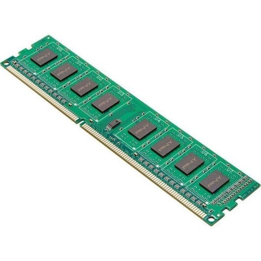 Memoria RAM PNY 8GB 1x8GB DDR3 1600MHz CL11 Verde