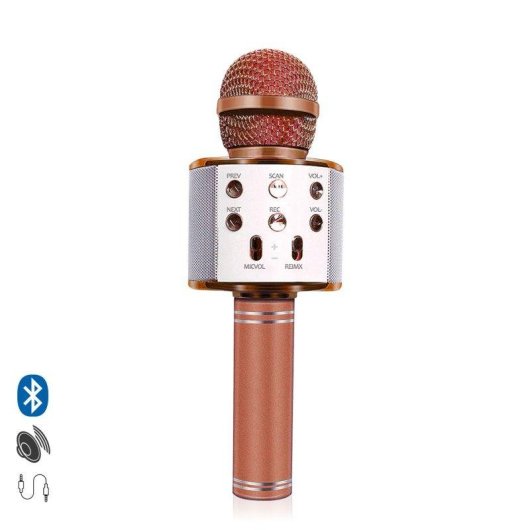 Microphone karaoké Dam Electronics multifonction Bluetooth avec haut-parleur