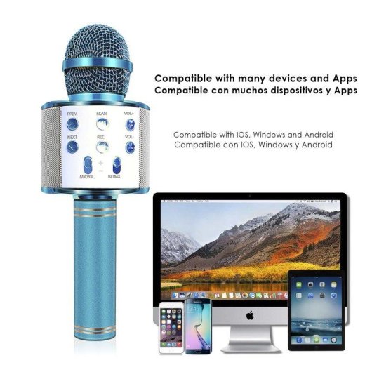 Microphone karaoké Dam Electronics multifonction Bluetooth avec haut-parleur