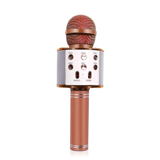 Microphone karaoké Dam Electronics multifonction Bluetooth avec haut-parleur