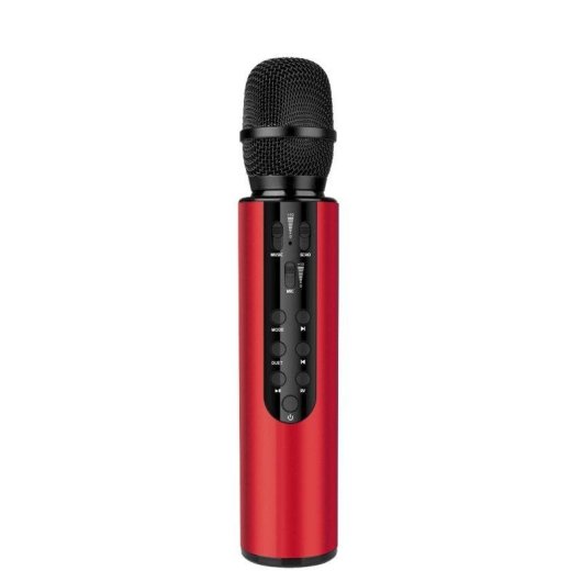 Microphone karaoké Dam Electronics à condensateur, Bluetooth 5.0, haut-parleur
