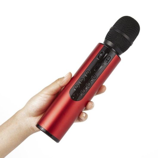 Microphone karaoké Dam Electronics à condensateur, Bluetooth 5.0, haut-parleur