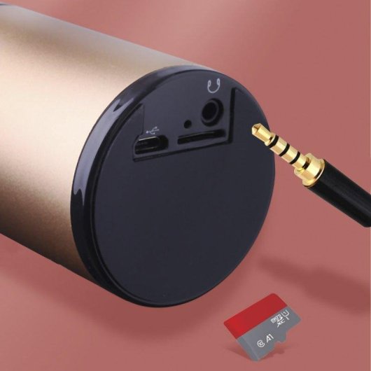 Microphone karaoké Dam Electronics à condensateur, Bluetooth 5.0, haut-parleur