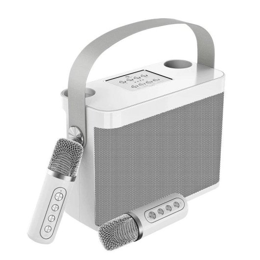 Kit karaoké Dam Electronics Bluetooth 10 W avec 2 microphones