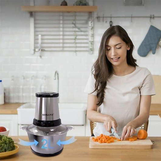 Trituratore carne elettrico Dam Electronics 300W 2L