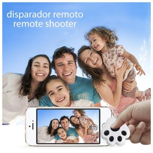 Localisateur Dam Electronics PAW Bluetooth 4.0 Multifonction GPS Dernière Position