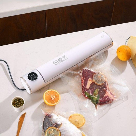 Sacheuse sous vide Dam Electronics 2 modes 50 kPa