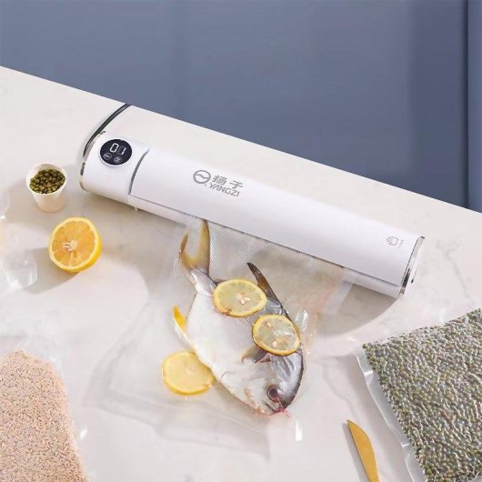 Sacheuse sous vide Dam Electronics 2 modes 50 kPa