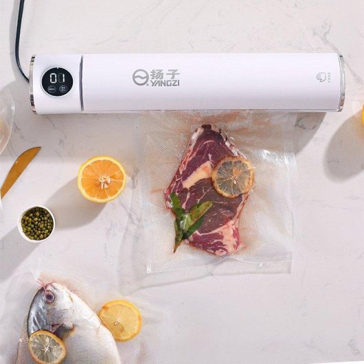 Sacheuse sous vide Dam Electronics 2 modes 50 kPa