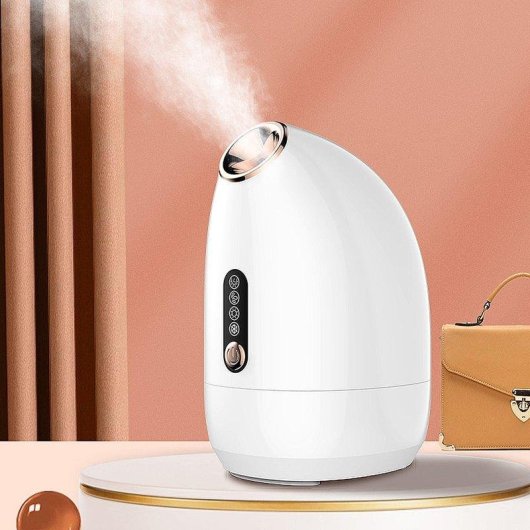 Vaporisateur Facial Z16 Dam Electronics Spray Chaud/Froid 200ml