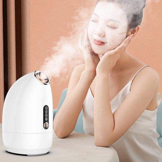 Vaporisateur Facial Z16 Dam Electronics Spray Chaud/Froid 200ml