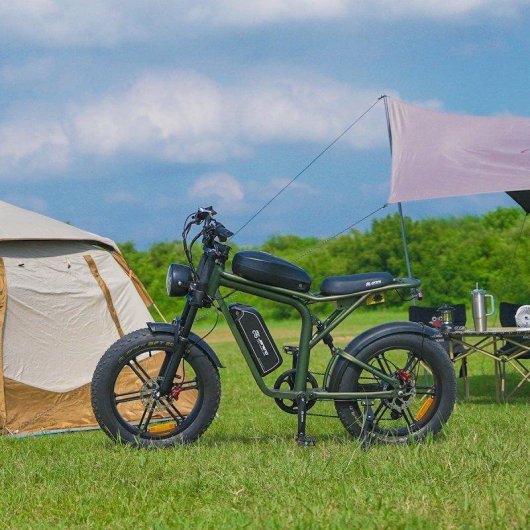 Bicicleta Eléctrica Jansno X8 Motor 750 W Batería 48 V 17 Ah 45 km/h Ruedas 20"