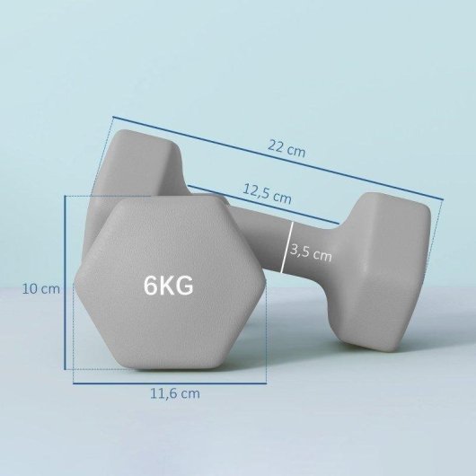 Halteres hexagonais Welltin 6 kg Cinzentos