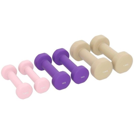 Haltère Welltin Set 6 pièces 0,5 kg 1 kg 1,5 kg avec Mallette
