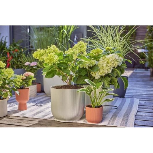 Kit Micro-Drip Gardena 13400-20 pour terrasse et 30 plantes