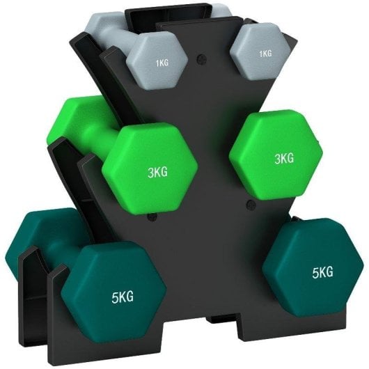 Halteres Hexagonais Welltin 6 Pack com Suporte
