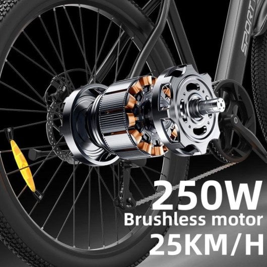 Bicicletta elettrica Toofly T8 250W 48V 10Ah 7 velocità 26 pollici