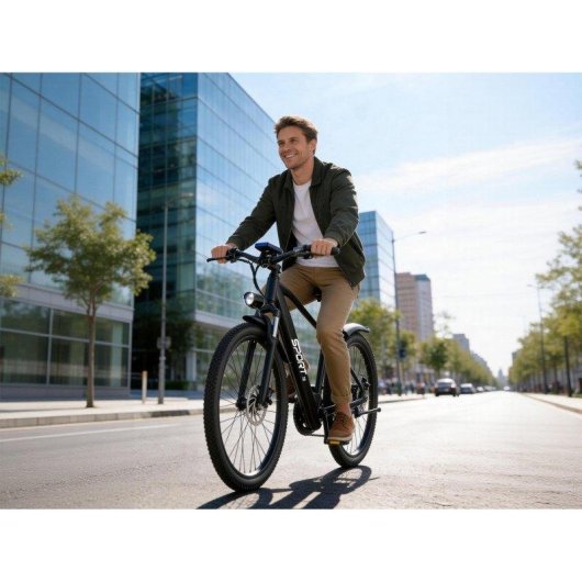 Bicicletta elettrica Toofly T8 250 W 48 V 10 Ah 26 pollici
