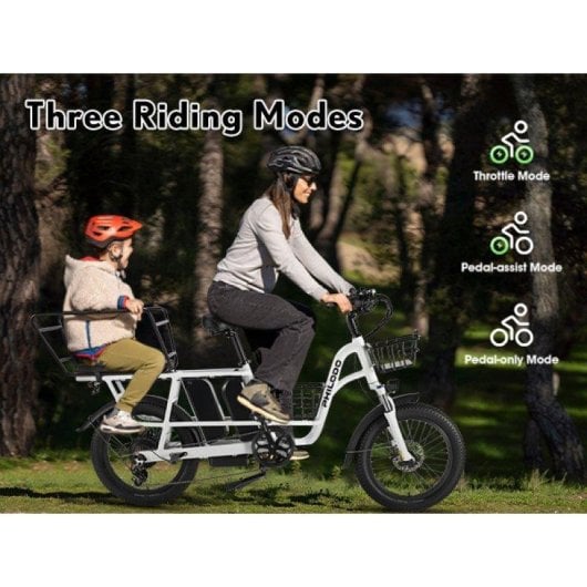 E-Bike Philodo Traveller 2 Batterien 48V 17,5Ah 7 Gänge
