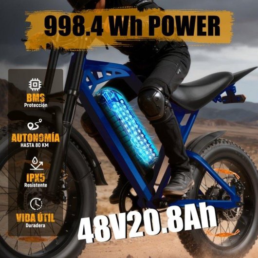 Bicicletta Elettrica Eskute V202 250W 48V 20,8Ah