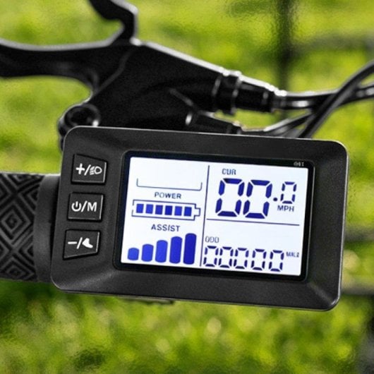 Triciclo Eléctrico Eskute T302Pro Motor 250W Batería 48V 20,8Ah Neumáticos 20" LCD