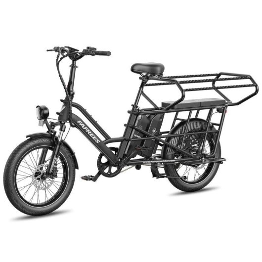 Velo Elettrico FAFREES FF20 CUV - Doppia Batteria 48V 12Ah