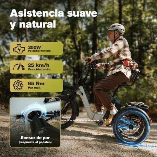 Triciclo Eléctrico Fafrees F20 Mate II 250W 48V 25Ah 20"