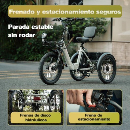 Triciclo Eléctrico Fafrees F20 Mate II 250 W 48 V 25 Ah 75-100 km 20"