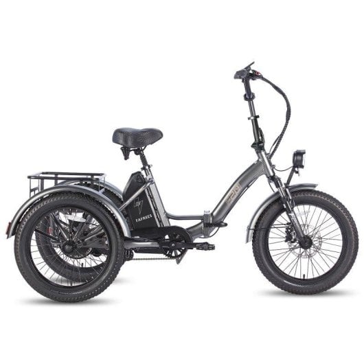 Bicicletta Elettrica FAFREES F20 Mate 250W Batteria 48V 20Ah