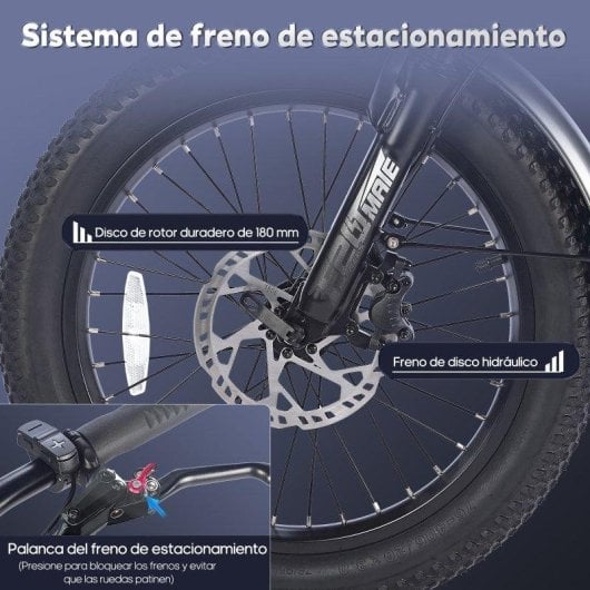 Bicicletta Elettrica FAFREES F20 Mate 250W Batteria 48V 20Ah