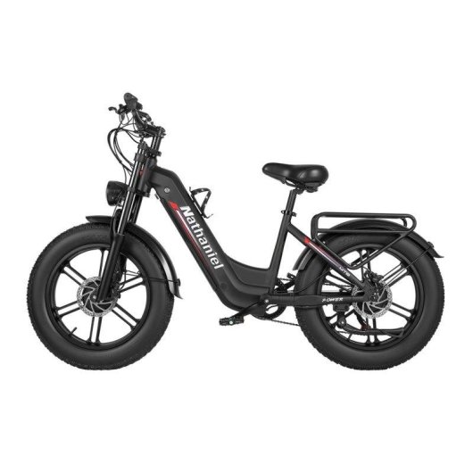 Bicicleta Eléctrica Nathaniel SYR08 Doble Motor 48V 20Ah Neumático 20" Frenos Hidráulicos