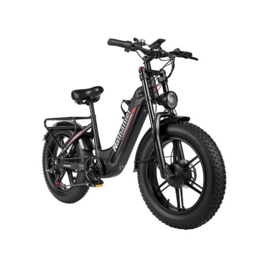 Bicicleta Eléctrica Nathaniel SYR08 Doble Motor 48V 20Ah Neumático 20" Frenos Hidráulicos