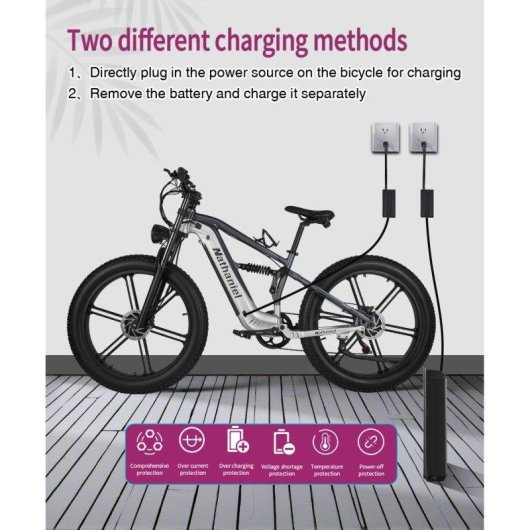 E-Bike Nathaniel SYR09 48 V 20 Ah Shimano 7-Gang