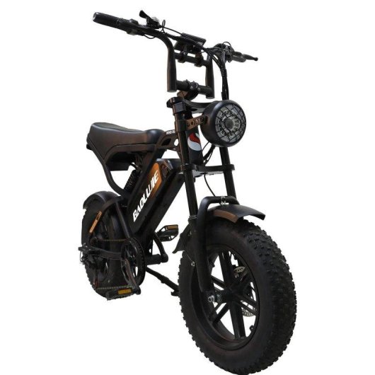 Bicicleta Elétrica Baolujie F2 Dobrável 250W 48V 16x4.0 40-50 km