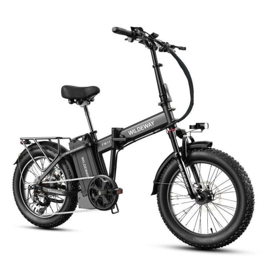 Bicicleta Eléctrica Plegable Wildeway FW11 Motor 250W Batería 48V 35 Ah