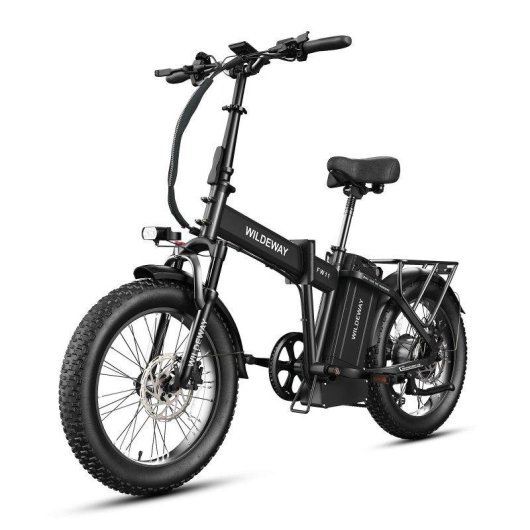 Bicicleta Eléctrica Plegable Wildeway FW11 Motor 250W Batería 48V 35 Ah