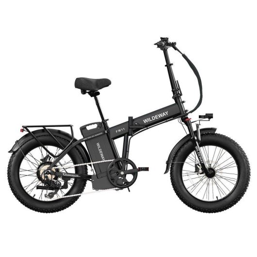 Bicicleta Eléctrica Plegable Wildeway FW11 Motor 250W Batería 48V 35 Ah