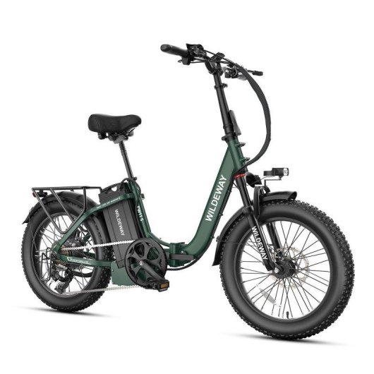 Bicicleta Eléctrica Plegable Wildeway FW11S 250 W 48 V 35 Ah 20" Verde
