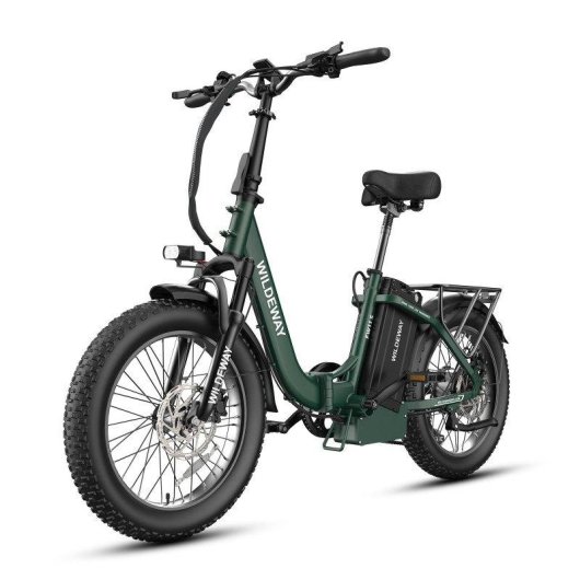 Bicicleta Eléctrica Plegable Wildeway FW11S 250 W 48 V 35 Ah 20" Verde