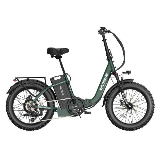 Bicicleta Eléctrica Plegable Wildeway FW11S 250 W 48 V 35 Ah 20" Verde