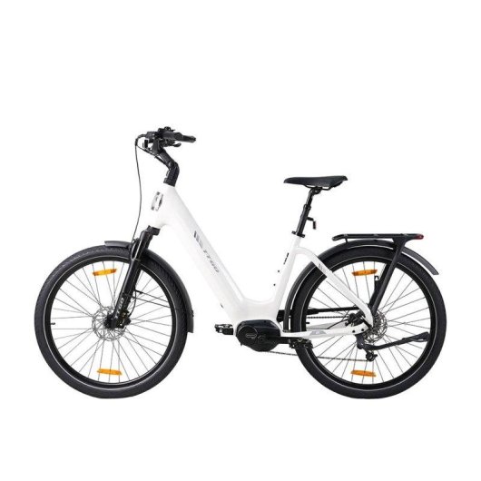 Bicicletta elettrica TTGO Z5 motore centrale 250W batteria 36V 18Ah