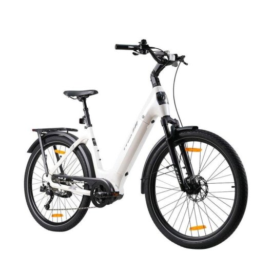 Bicicletta elettrica TTGO Z5 motore centrale 250W batteria 36V 18Ah