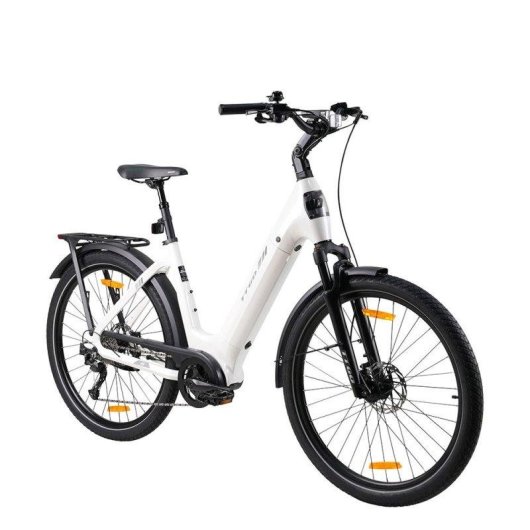 Bicicletta elettrica TTGO Z5 motore centrale 250W batteria 36V 18Ah