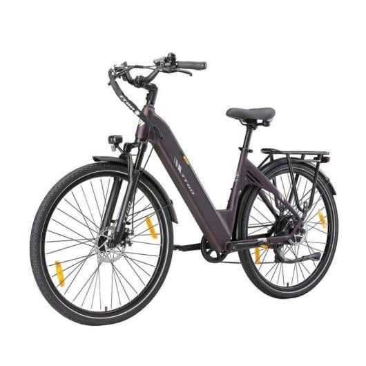 Elektrofahrrad TTGO C3 SE - 250W 52Nm 36V 18Ah