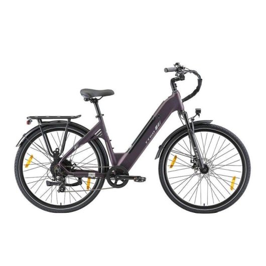 Elektrofahrrad TTGO C3 SE - 250W 52Nm 36V 18Ah
