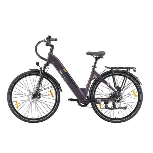 Elektrofahrrad TTGO C3 SE - 250W 52Nm 36V 18Ah
